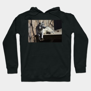 Wolf Hoodie